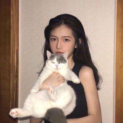 我可爱的虚拟宠物猫游戏下载